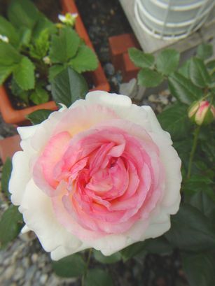 DSC07632.JPG