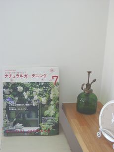 DSC08129.JPG