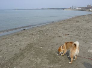 DSC08311.JPG