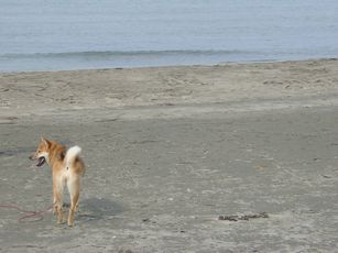 DSC08308.JPG