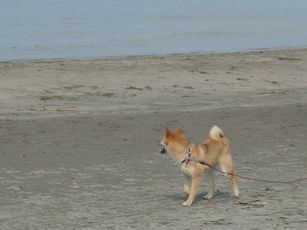 DSC08304.JPG