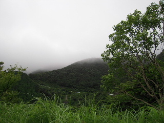 伊吹山はガスの中