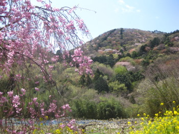 清水寺.JPG