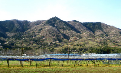 晃石山.jpg