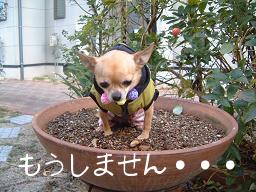 さむい・・・2