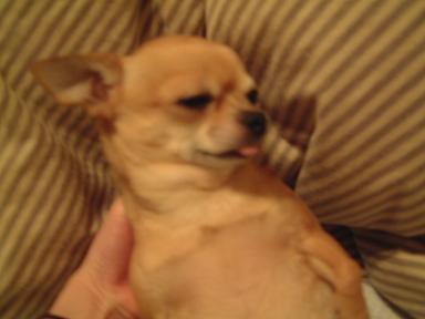 そこまで言うなら・・・