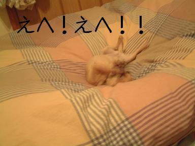 てへへ！てへへ！