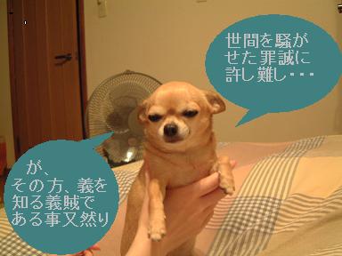 唯岡越前3