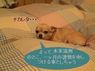 唯岡越前4