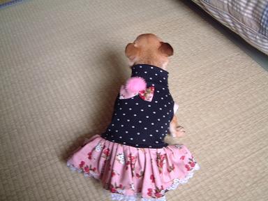 ドレス、上から