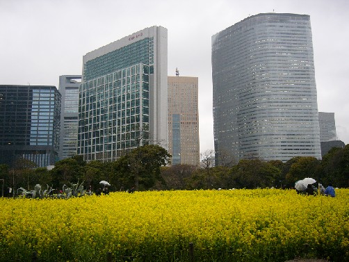 P1000258shiodome.JPG