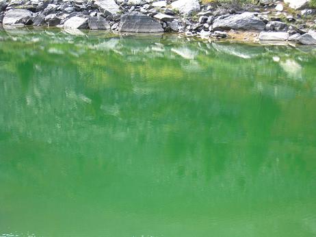 ツェルマット　グリュンゼー（２３００ｍ）アップ