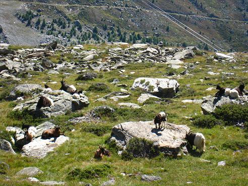 エーデルワイストレッキング1日目(3)