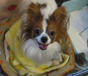 2007_11230009.JPG