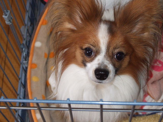 2007_05190013.JPG