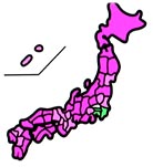 wii037.jpg