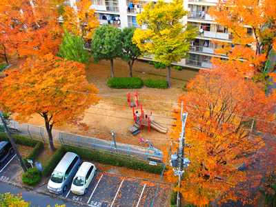 団地の紅葉