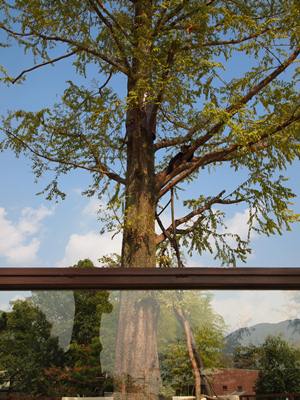 京都市動物園にて