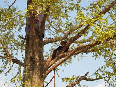 京都市動物園にて