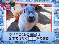 ブログ用