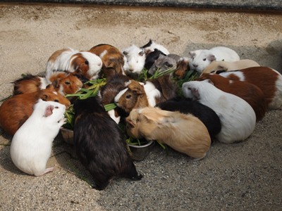 京都市動物園にて