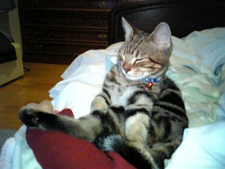 れんたろう4/14生まれ