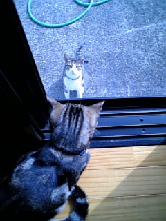 れんたろう4/14生まれ