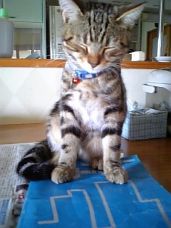 れんたろう4/14生まれ