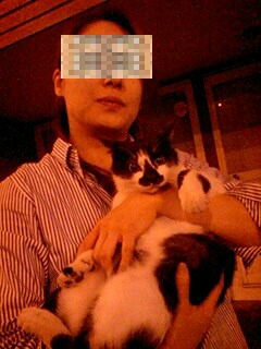 3時過ぎのニャン