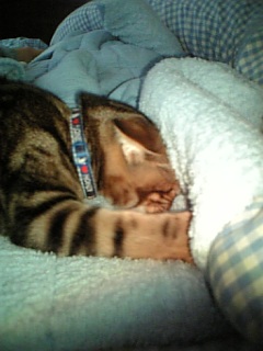 れんたろう4/14生まれ