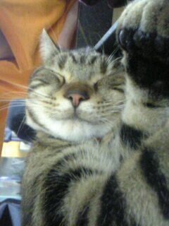 れんたろうくん