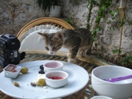 味見したいけれど