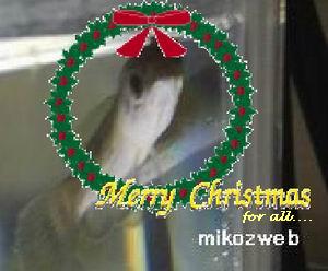 mikoさんクリスマスカード