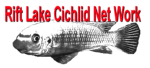 Rift　Lake　Cichlid　Net　Work