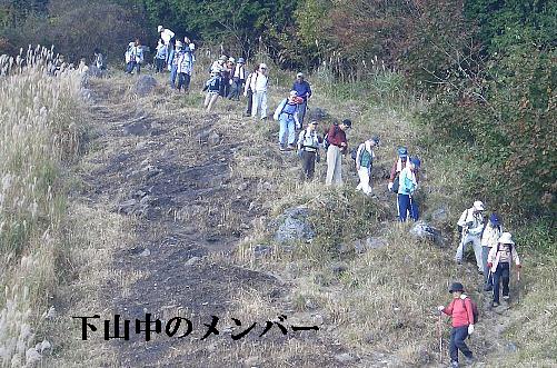 曽爾高原 皆.jpg