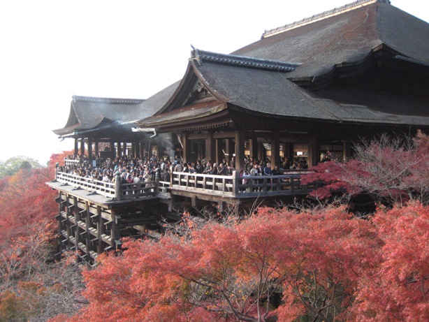 KYOTO200902.jpg