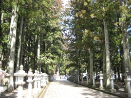 KOYASAN04.jpg