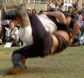 激しい取り組み