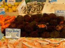パリの朝市：ウニ＆魚介類