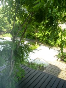 P5030069.JPG
