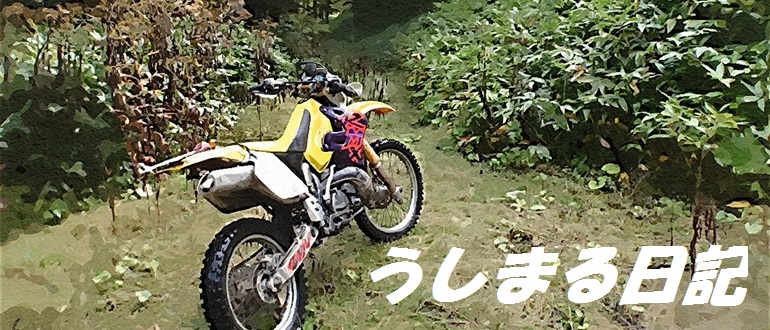 P9200922(ガッシュ)-crop.JPG