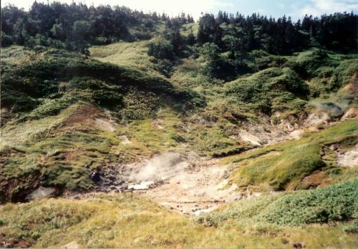 八幡平　蒸けの湯傍.jpg
