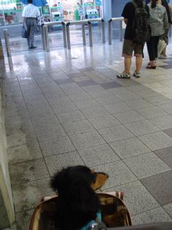 大雨で立ち往生。。。.jpg