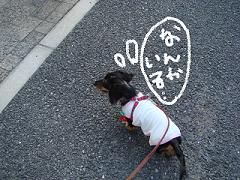 DSC00098.JPG
