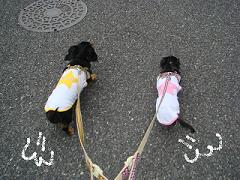 小走り.jpg
