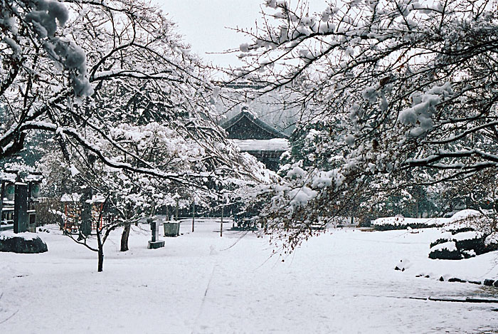 東漸寺<br />
<br />
と雪
