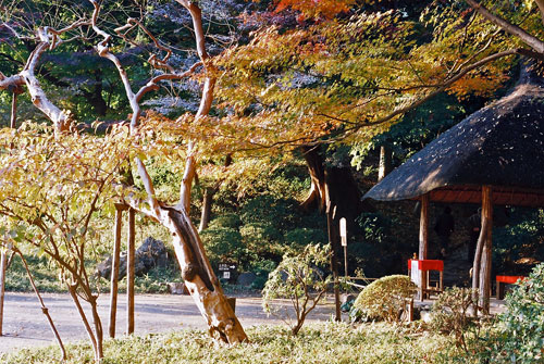 小石川<br />
<br />
後楽園