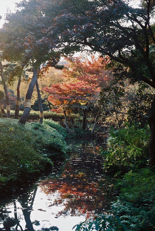 小石川<br />
<br />
後楽園