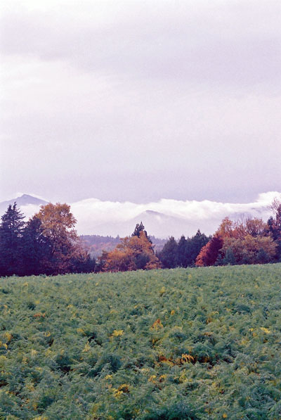 茨城県<br />
<br />
八郷の空模様