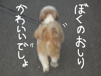 おしり